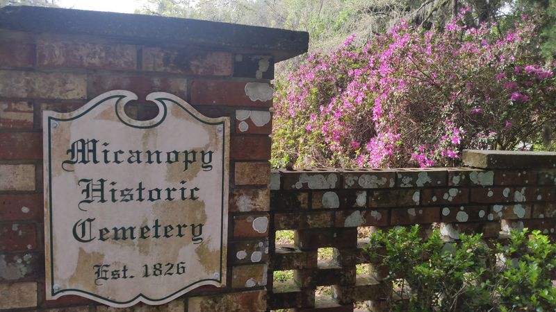 Historic Micanopy Cemetery