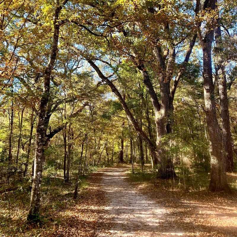 Hugh Taylor Birch State Park Perimeter Access (Fort Lauderdale)