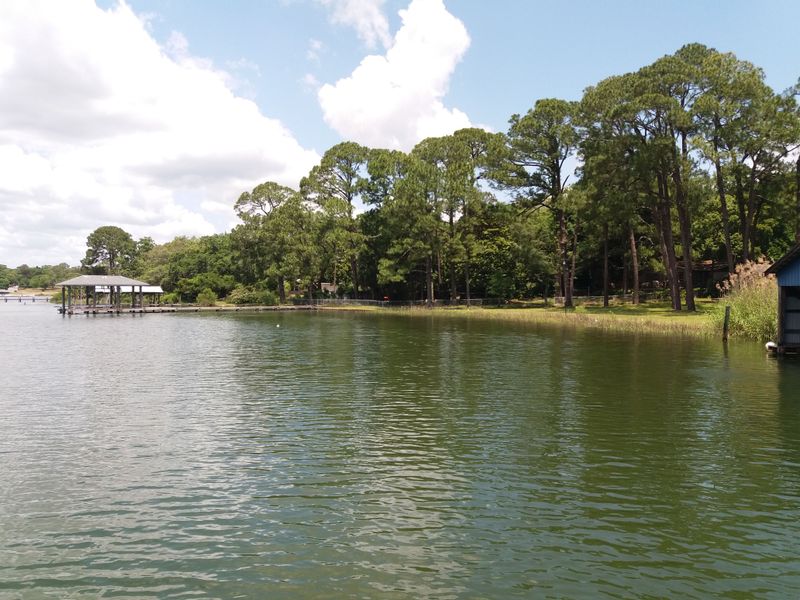 Crystal-Clear Paddle on Bayou Texar
