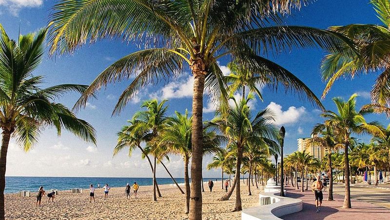 Go Shopping on Las Olas Boulevard