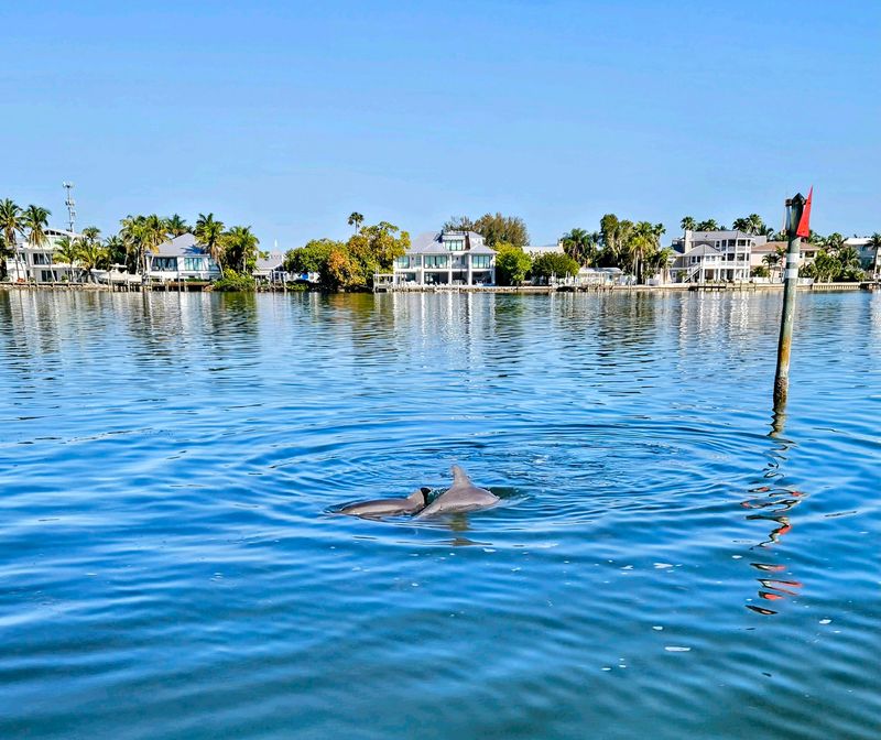 Sarasota Bay Explorers