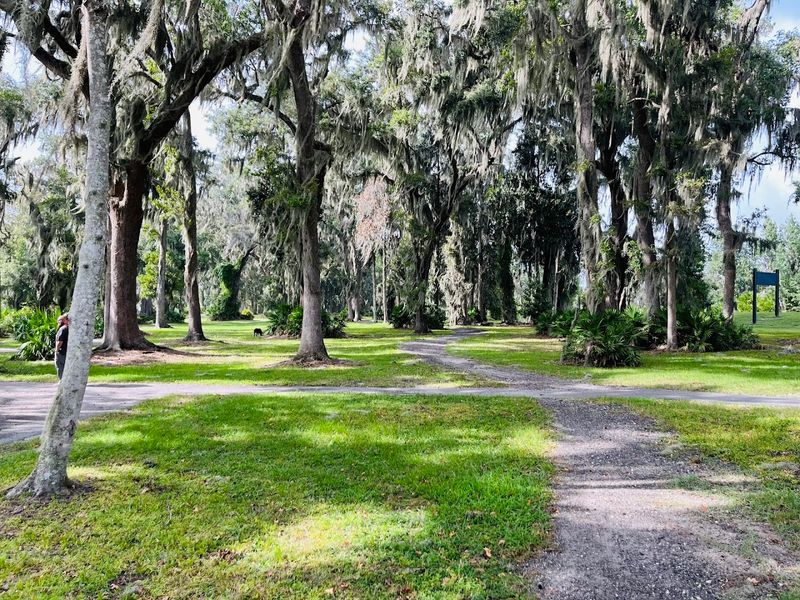 Shaded Trails Under Spanish Moss