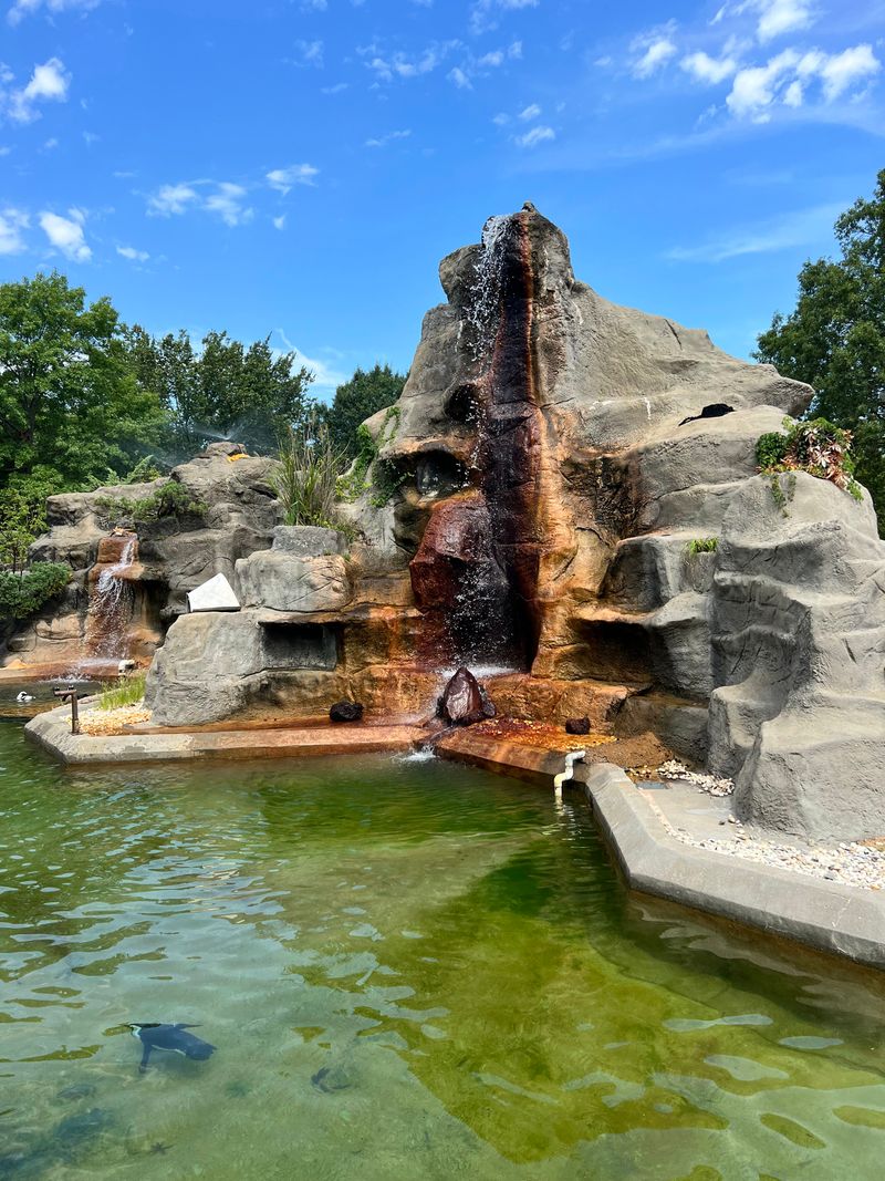 Conservation and Behind the Scenes Moments