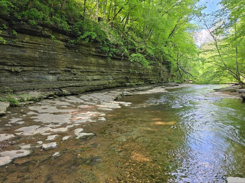 Rutledge Falls Spring