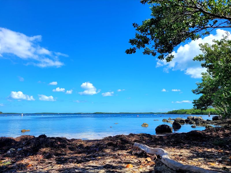 John Pennekamp Coral Reef State Park – Key Largo
