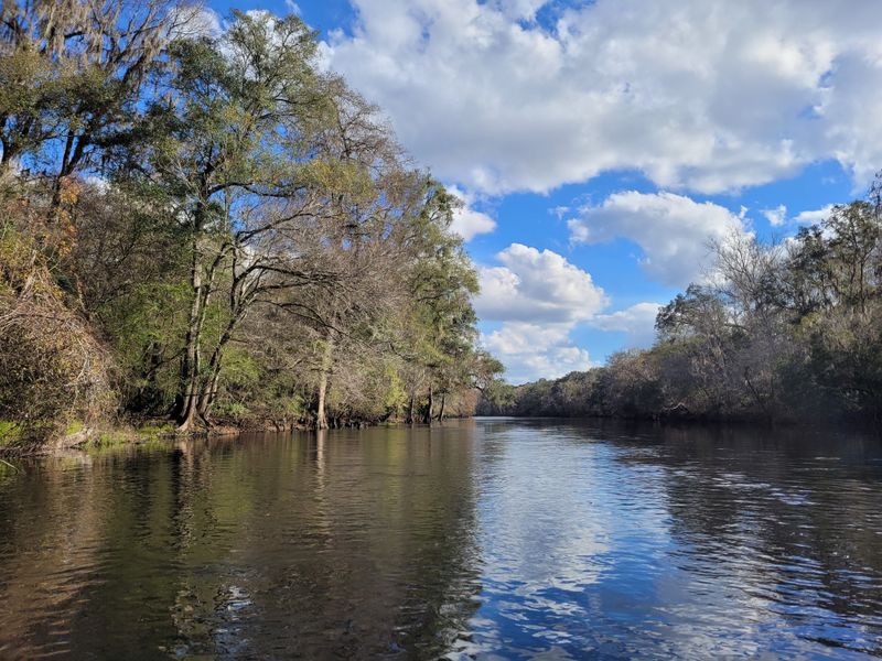 St. Johns River (Central & Northeast Florida)