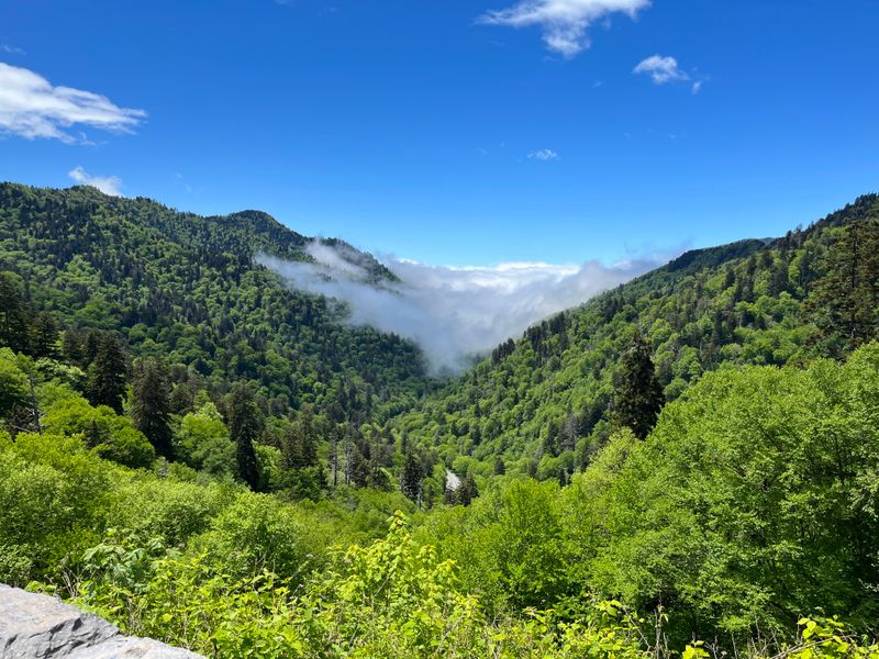 The World's Most Biodiverse National Park