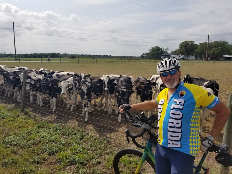 Playtime and Hayrides: Relax Between Activities