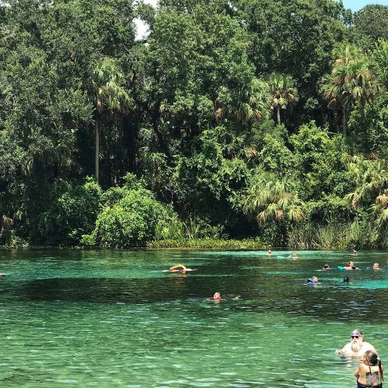 Alexander Springs Recreation Area (Ocala National Forest)