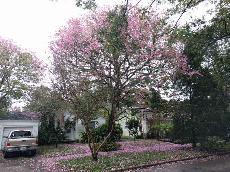 College Park (Edgewater Drive area)