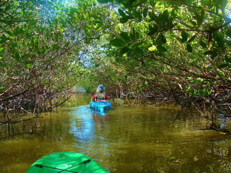 Where the Thousand Islands Are and How to Get There