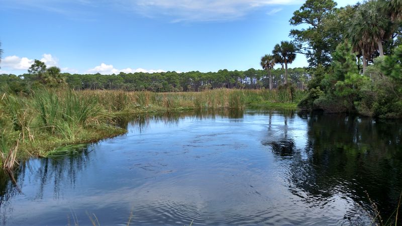 Unplug on the barrier islands & wildlife refuges nearby (e.g., St. Vincent National Wildlife Refuge)