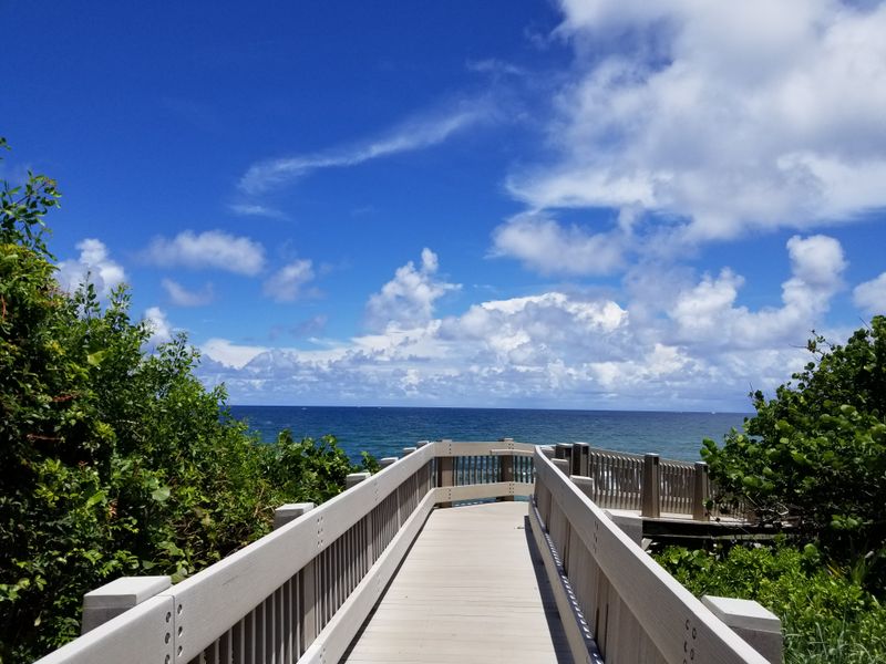 Red Reef Park and Snorkeling Paradise