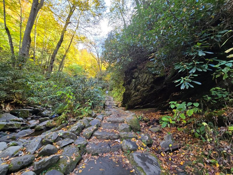 Trillium Gap Trail (Gatlinburg)
