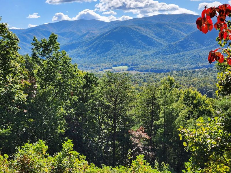 Rich Mountain Loop Trail (Townsend)