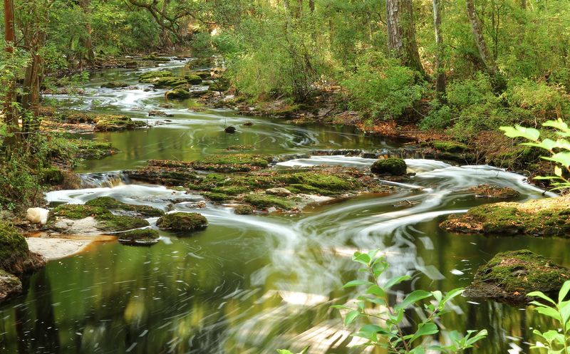 Photography Tips And Vantage Points