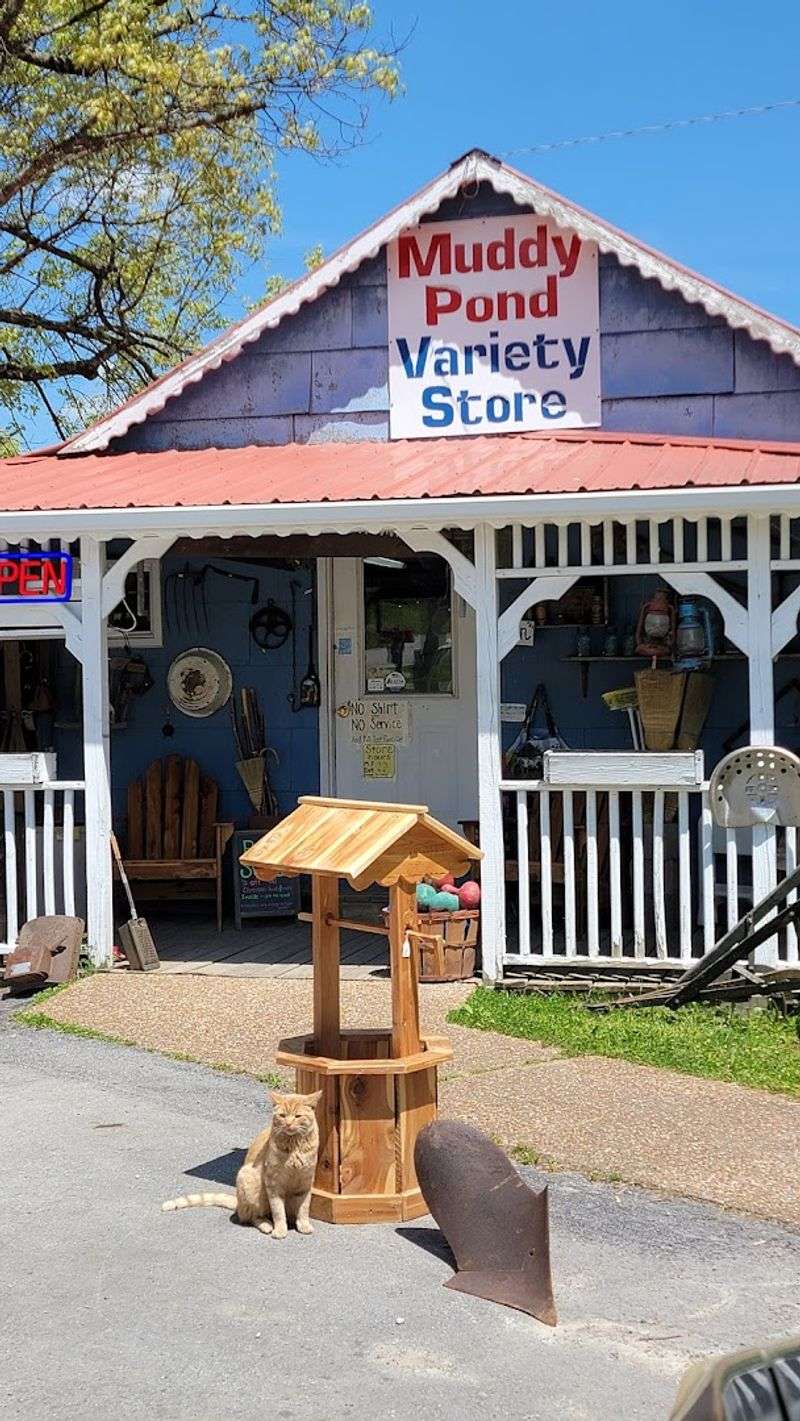 Muddy Pond Variety Store (Monterey)