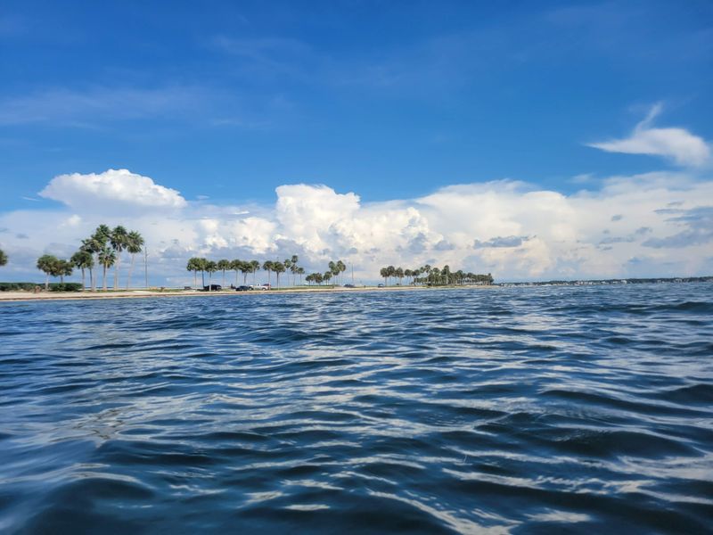 Honeymoon Island State Park (Dunedin)