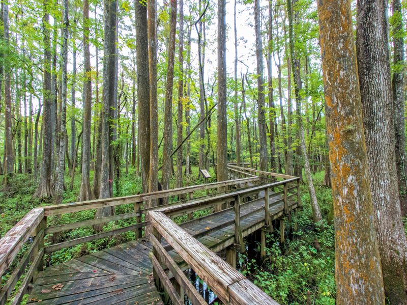 Lower Suwannee National Wildlife Refuge (near Cedar Key)