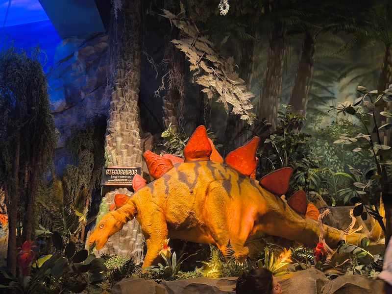 Service, Accessibility, And Family Tips