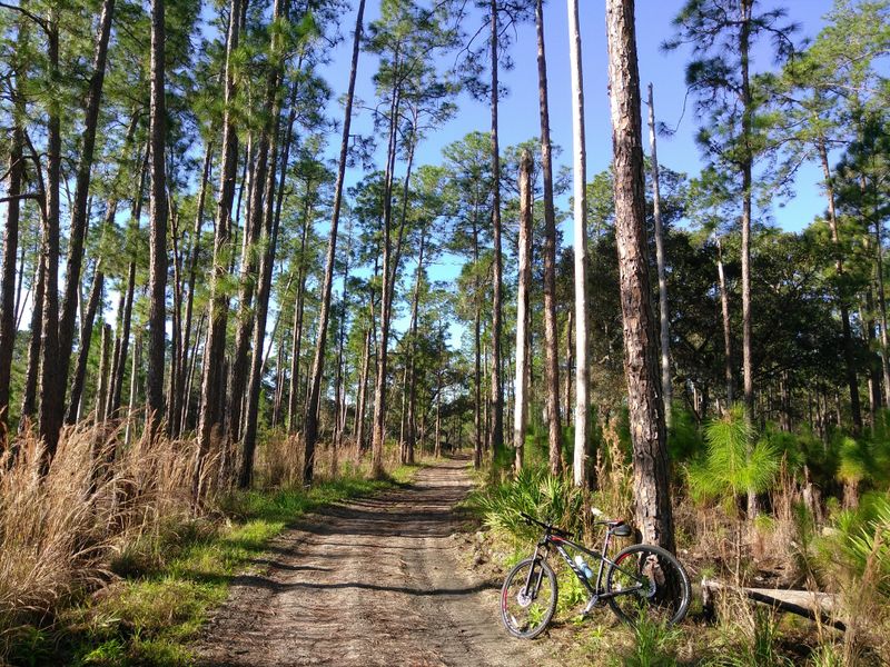 Moss Park + Split Oak Forest (SE Orlando)