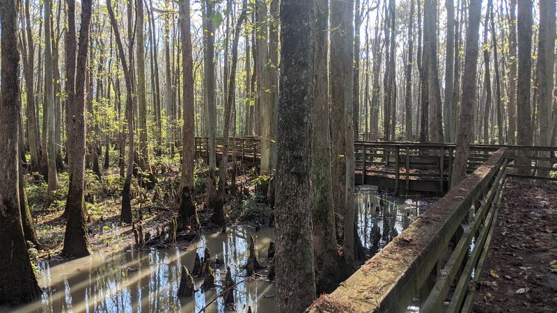 William B. Clark Boardwalk &mdash; State Natural Area (Rossville)