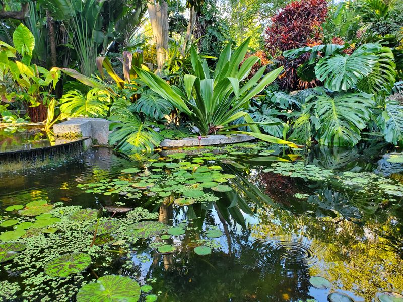 The Kampong, National Tropical Botanical Garden (Miami)