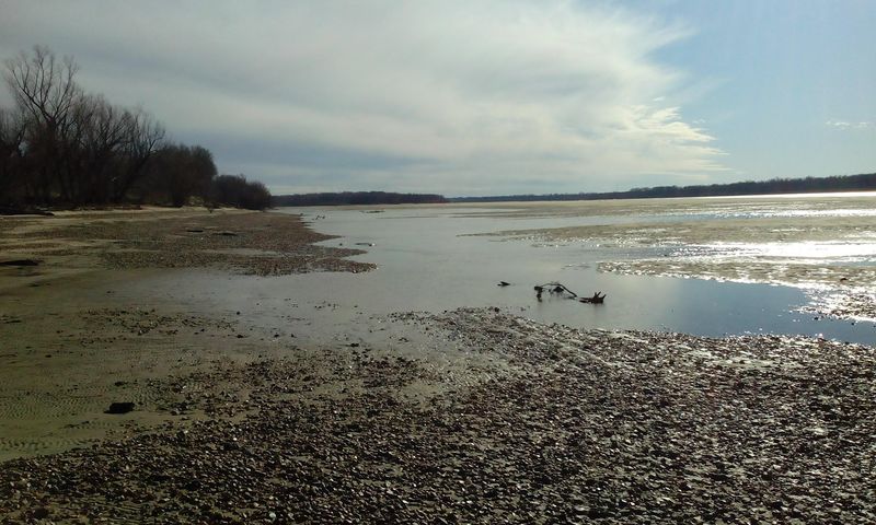 Lower Hatchie National Wildlife Refuge &mdash; Henning