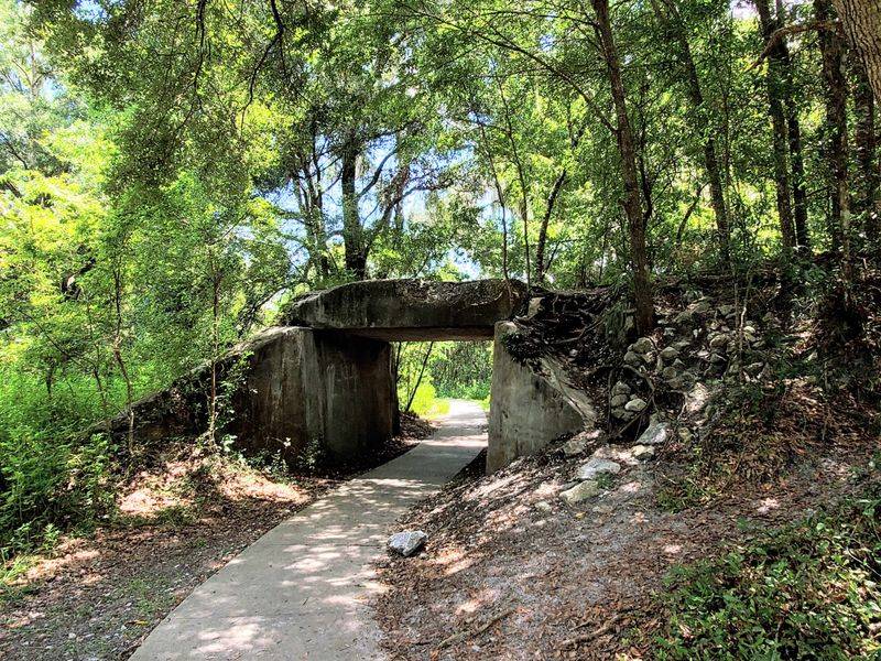 Prairie Lakes Loop (Paynes Prairie Preserve State Park)