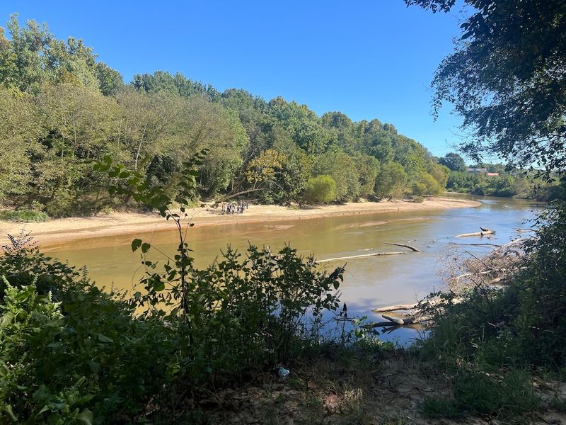 Shelby Farms Park (Memphis)