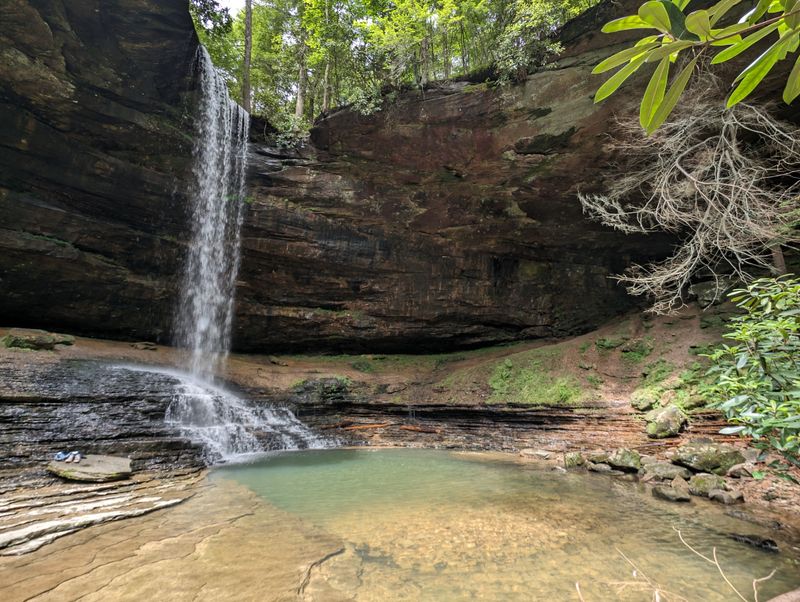 Northrup Falls (Colditz Cove State Natural Area)