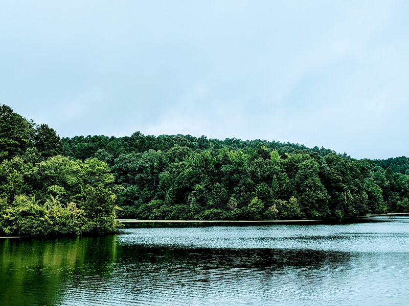 Big Hill Pond Lake (Pocahontas)