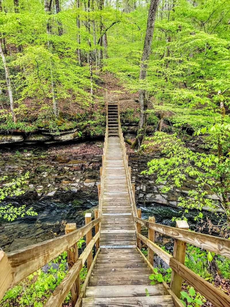 Short Springs Natural Area Trails (Tullahoma)