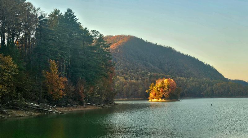 Cherokee National Forest