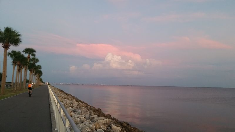 Bike or Stroll the Courtney Campbell Trail