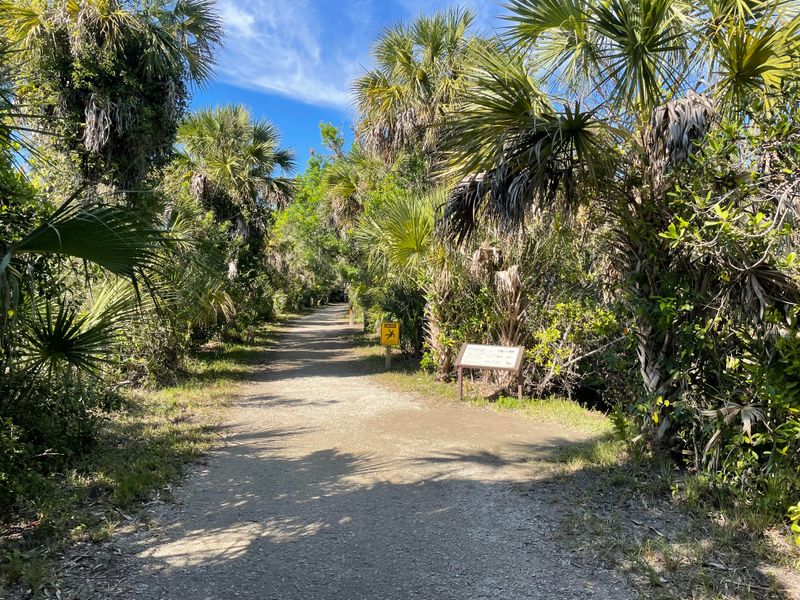 Big Cypress Bend Boardwalk (Fakahatchee Strand Preserve State Park — near Naples)