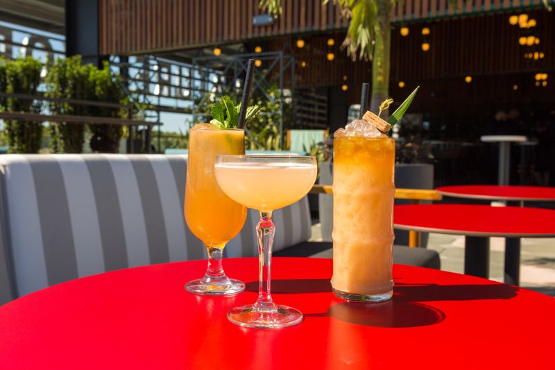 M. Bird (Armature Works, Tampa)