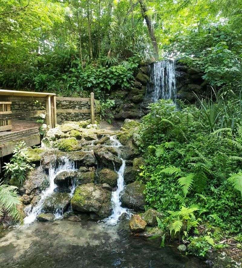 Rainbow Springs State Park (Dunnellon)
