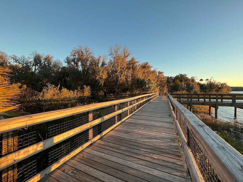 Paynes Prairie From The Micanopy Side