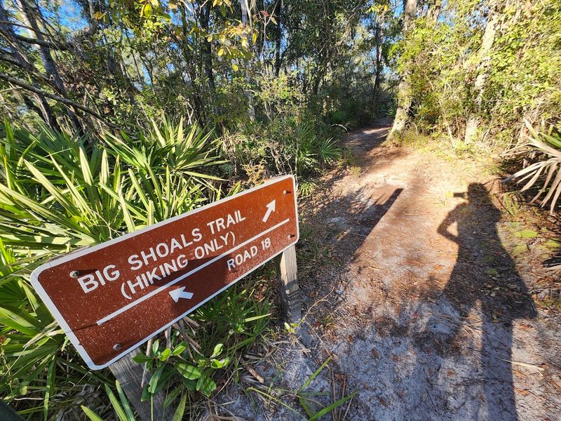 Big Shoals State Park (Suwannee River whitewater viewpoint)