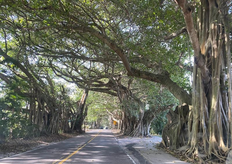 Cycling And Walking The Corridor