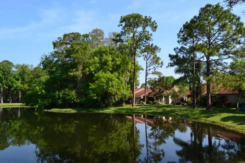 Palm Harbor (Pinellas County)