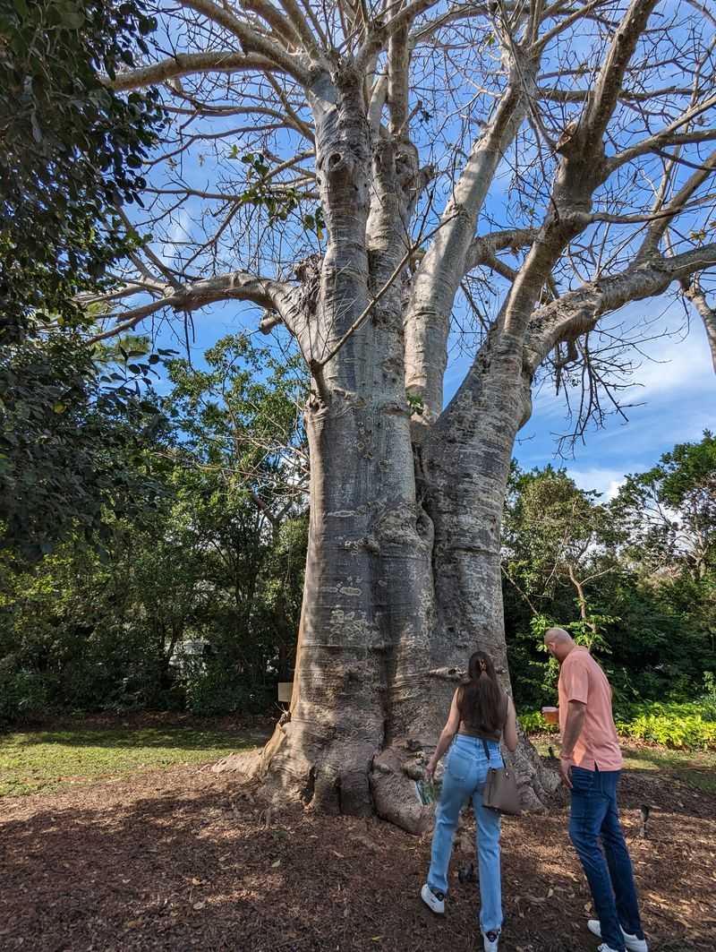 Fairchild Tropical Botanic Garden