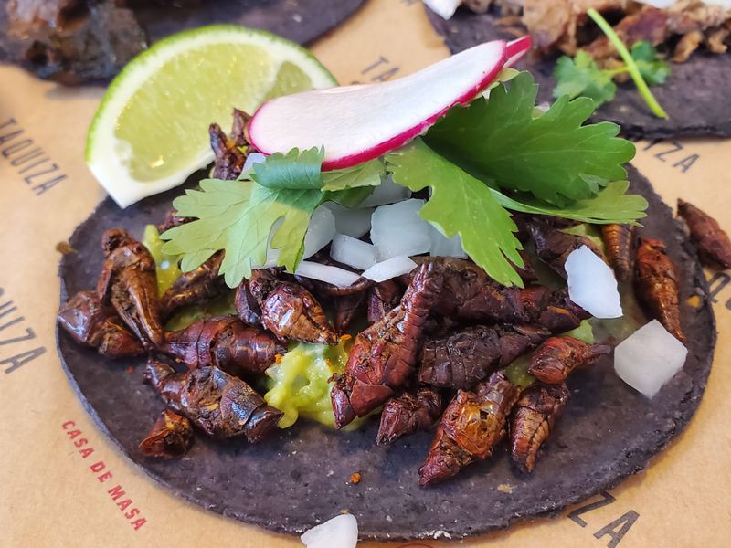 Taquiza (Miami Beach)