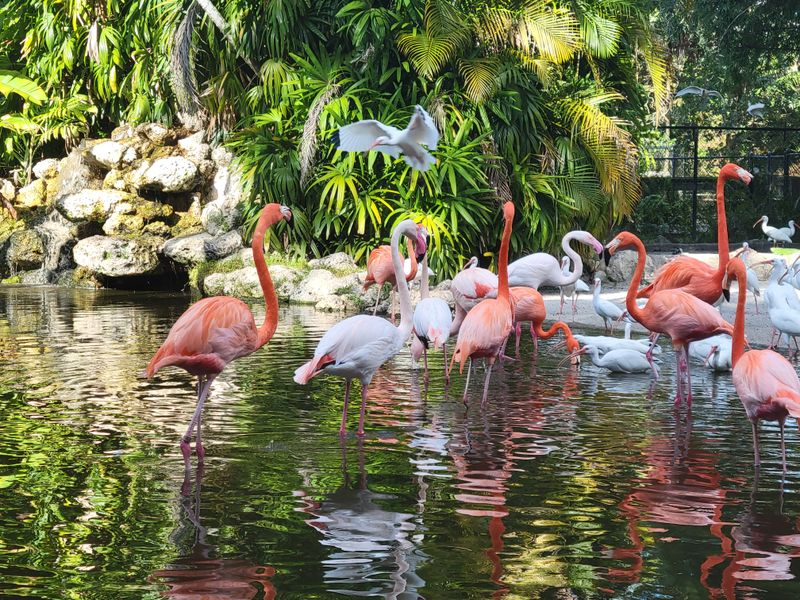 Flamingo Gardens (Davie)