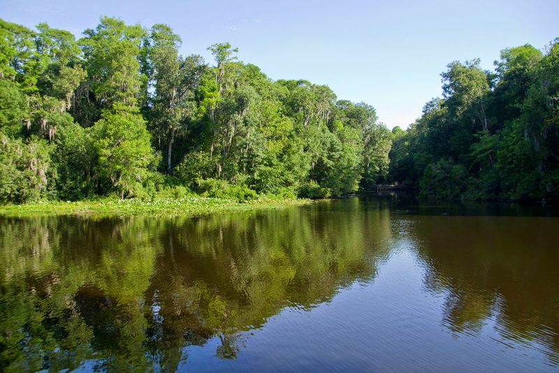 Homosassa 