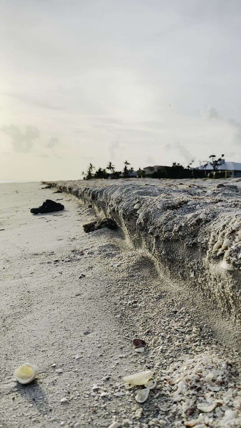 The Magic That Keeps Shell Seekers Coming Back