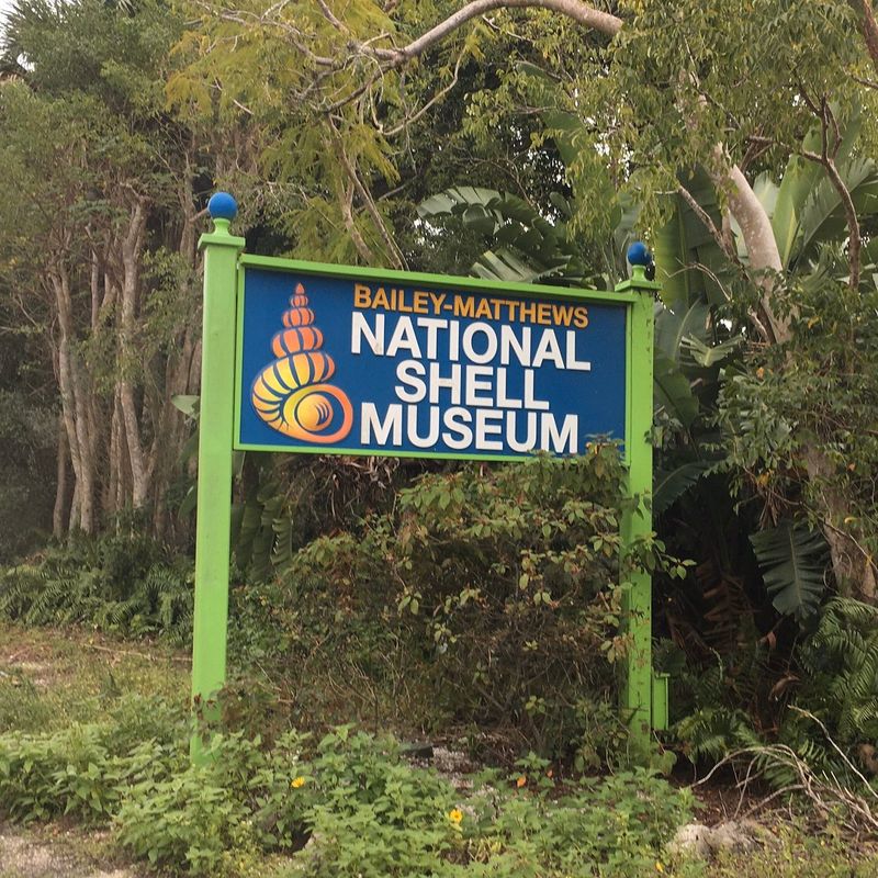 Family Fun: Treasure Hunt and Kids Play Zone