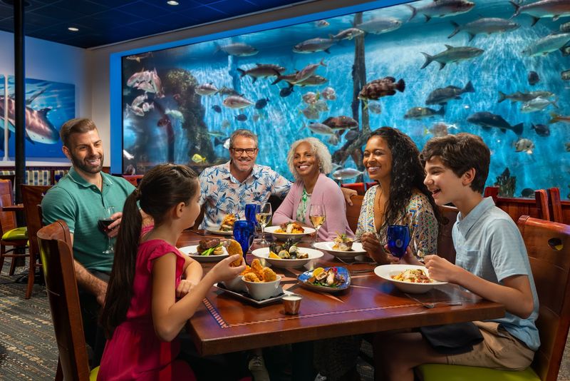 Best Seats and Reservation Tips