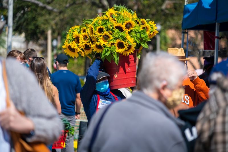 Family Friendly Fun and Pet Perks